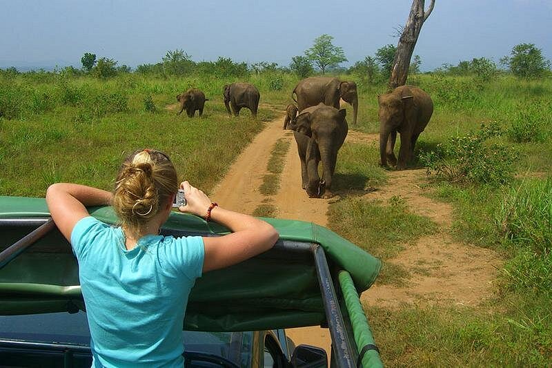 Visakhapatnam Honeymoon Tour